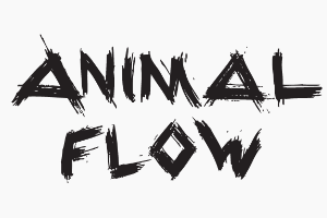Logo Animal Flow